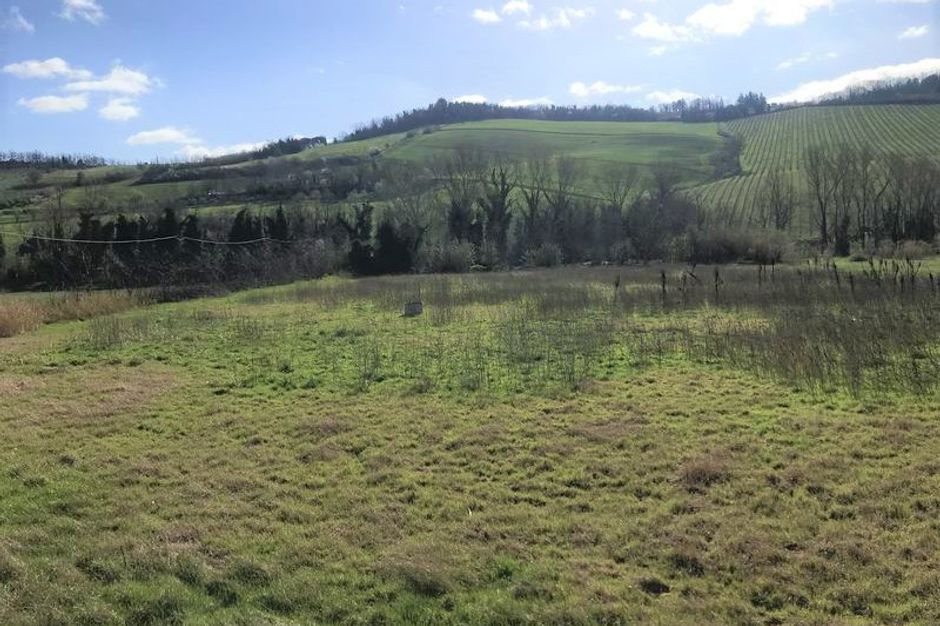 #10055 Ex complesso di stoccaggio rifiuti con area di pertinenza in vendita - foto 11