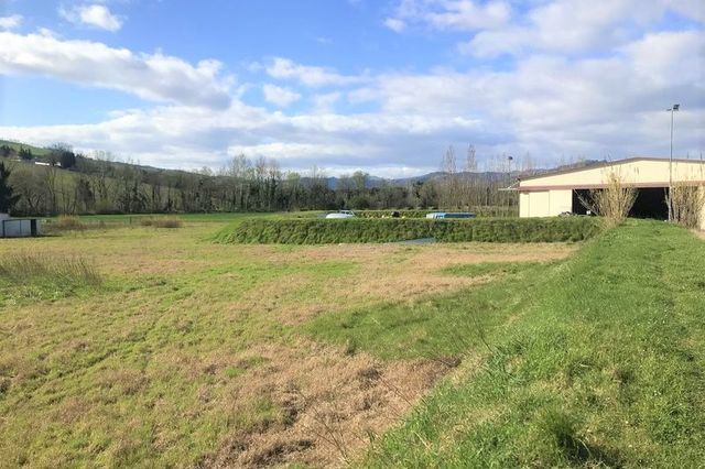 Fabbricati industriali in vendita