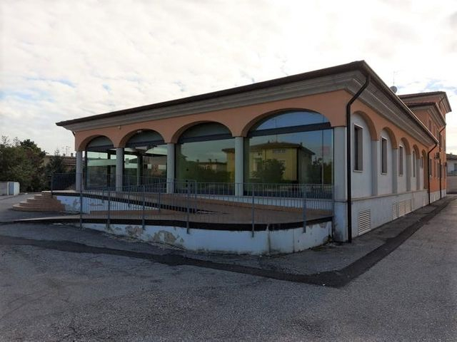 Grandi dimensioni in vendita