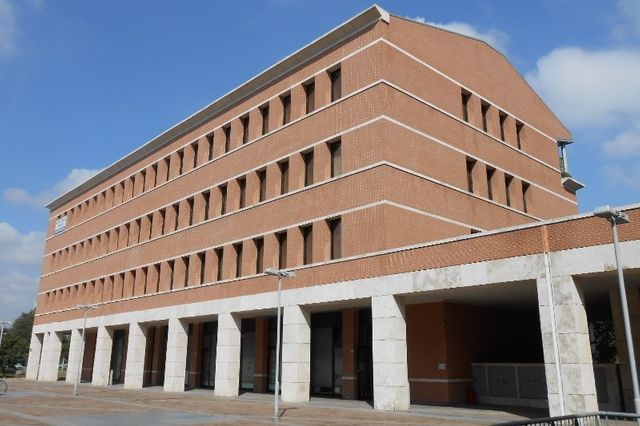 Grandi dimensioni in vendita