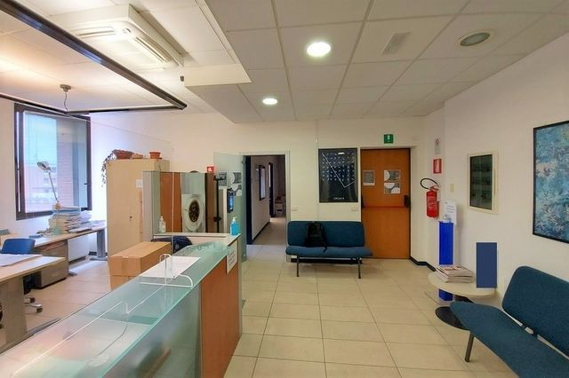 Grandi dimensioni in vendita