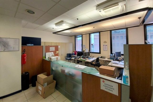 Grandi dimensioni in vendita