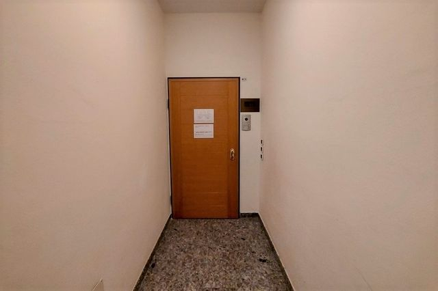 Grandi dimensioni in vendita