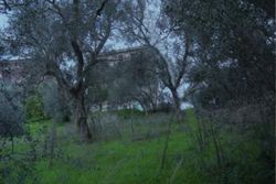 Land in completion area - Lot 10501 (Auction 10501)