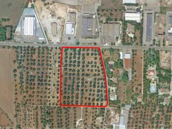 Agricultural land of , sqm with rustic outbuildings - Lot 10883 (Auction 10883)
