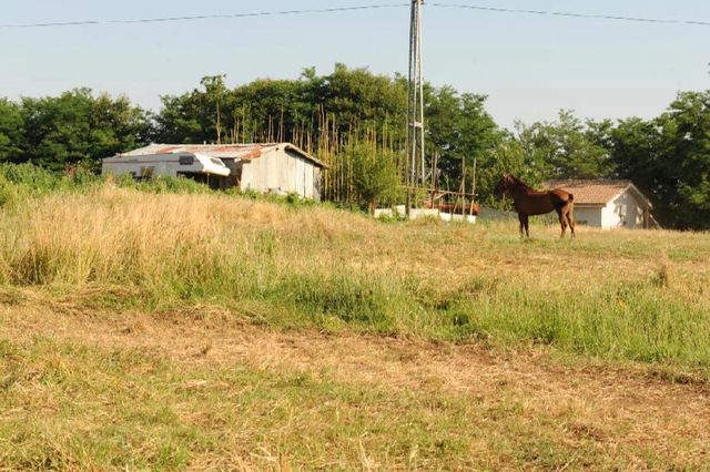 Agricoli in vendita