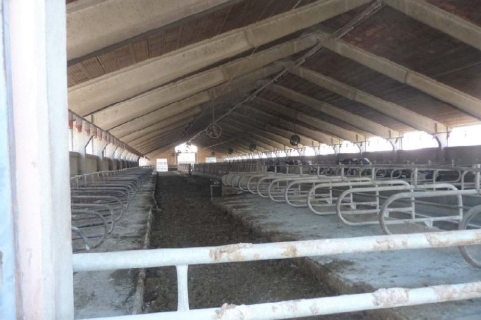 #11006 Complesso agricolo con stalle e terreno in vendita - foto 3