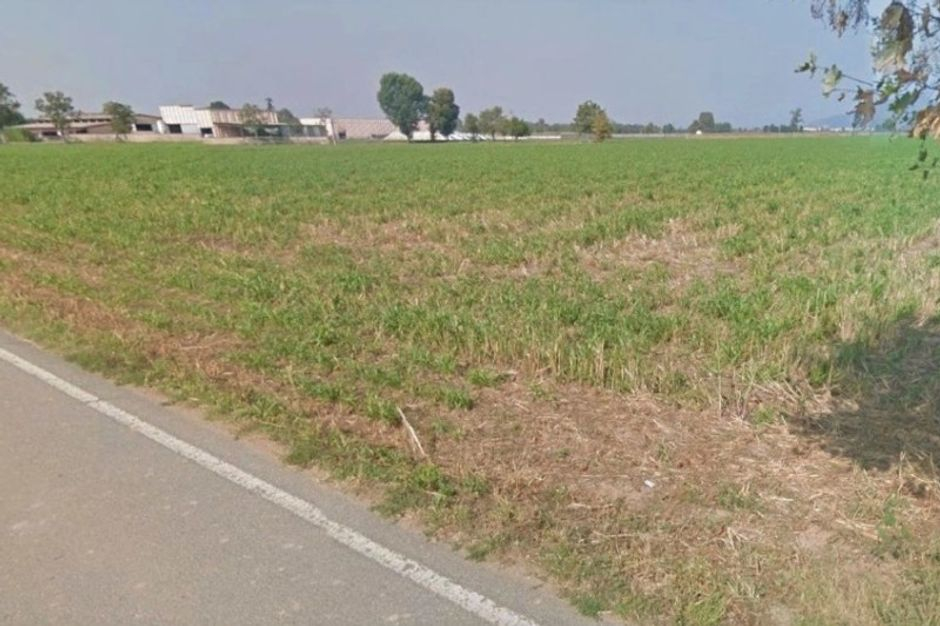 #11006 Complesso agricolo con stalle e terreno in vendita - foto 5