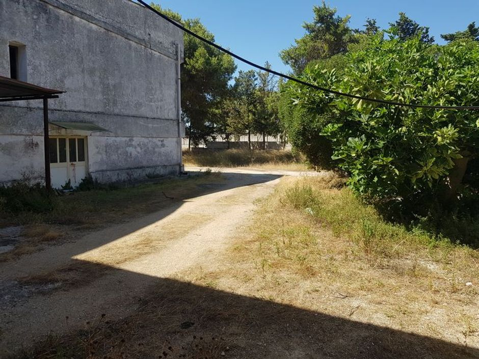 #11040 Capannone industriale con appartamento ed area di pertinenza in vendita - foto 7
