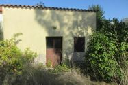Immagine n9 - Share 1/1 semi-detached house and agricultural land - Asta 11049