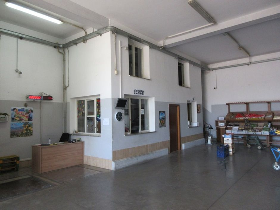 #11075 Magazzino con corte pertinenziale in vendita - foto 5