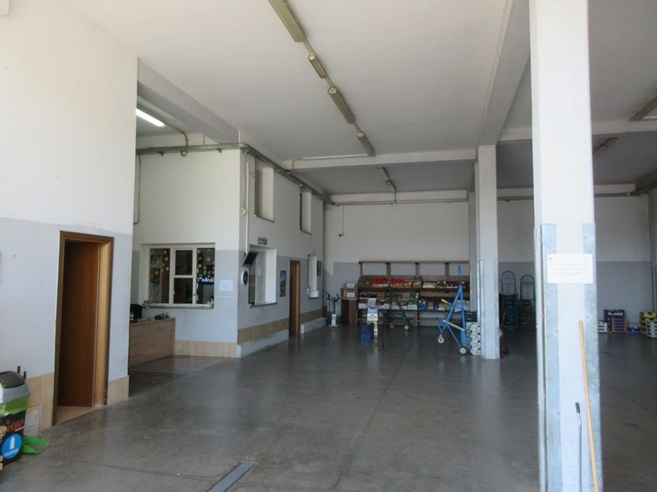 #11075 Magazzino con corte pertinenziale in vendita - foto 6