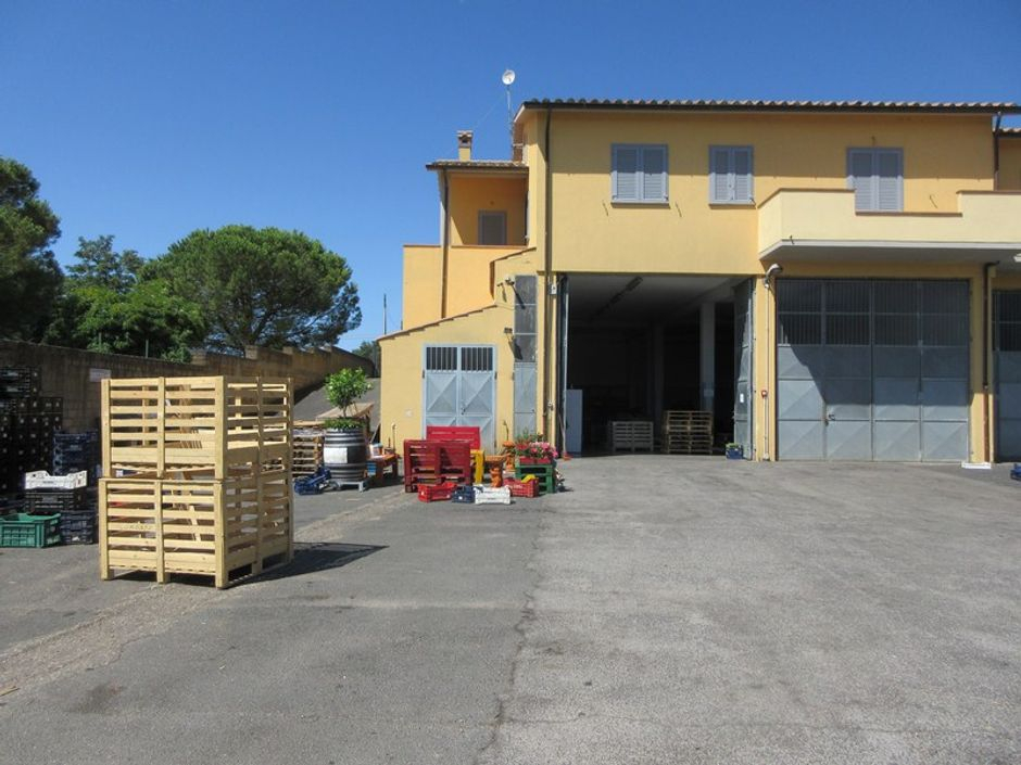 #11075 Magazzino con corte pertinenziale in vendita - foto 11