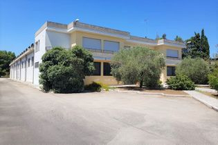 Capannoni artigianali in vendita