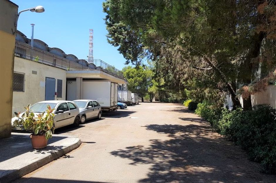 #11089 Capannone con laboratorio, negozio e zona uffici in vendita - foto 2