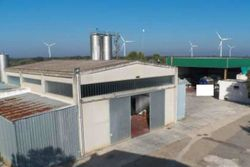 Oil mill with house and olive grove - Lot 11092 (Auction 11092)