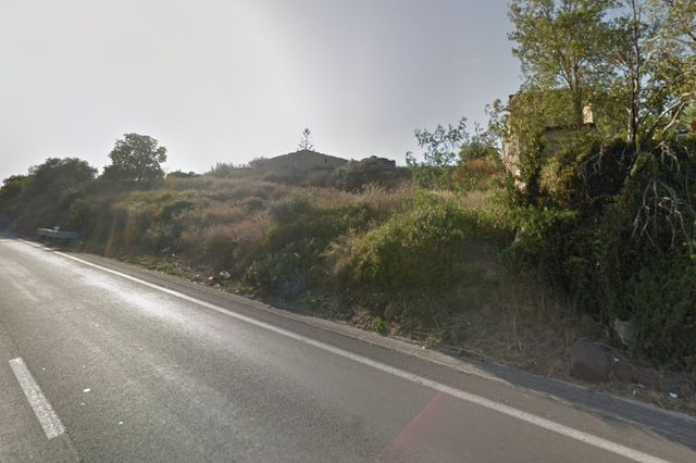 Agricoli in vendita