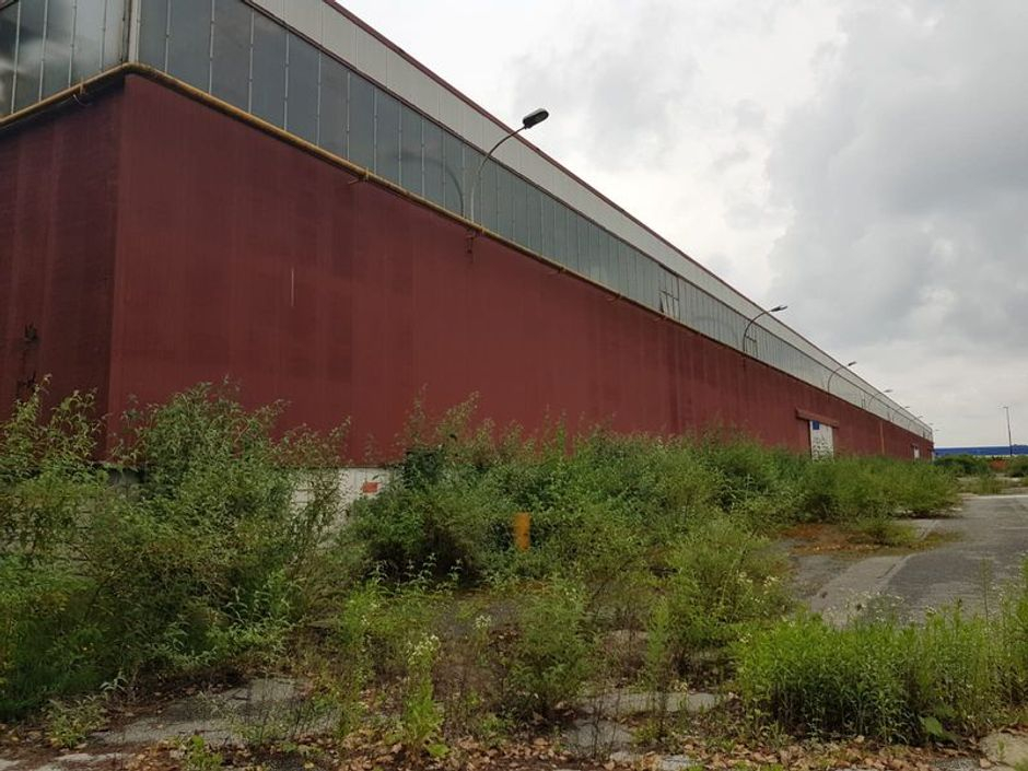 #11182 Complesso immobiliare con capannoni, palazzina uffici e servizi in vendita - foto 6