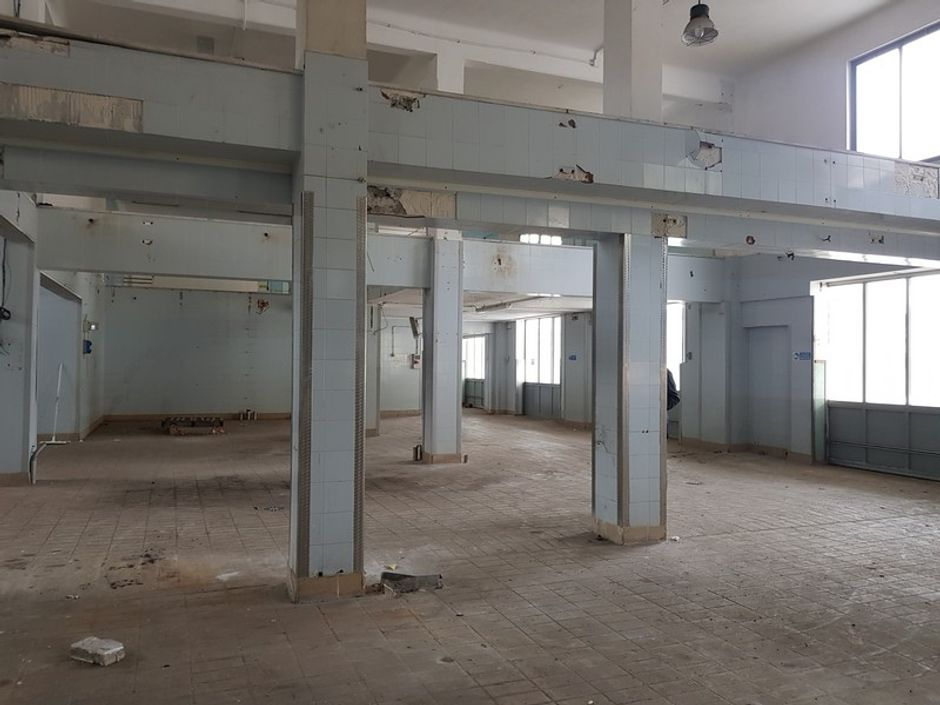 #11508 Complesso industriale con pertinenze in vendita - foto 6