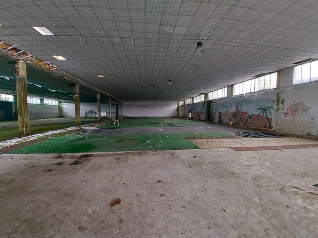 Palestre in vendita