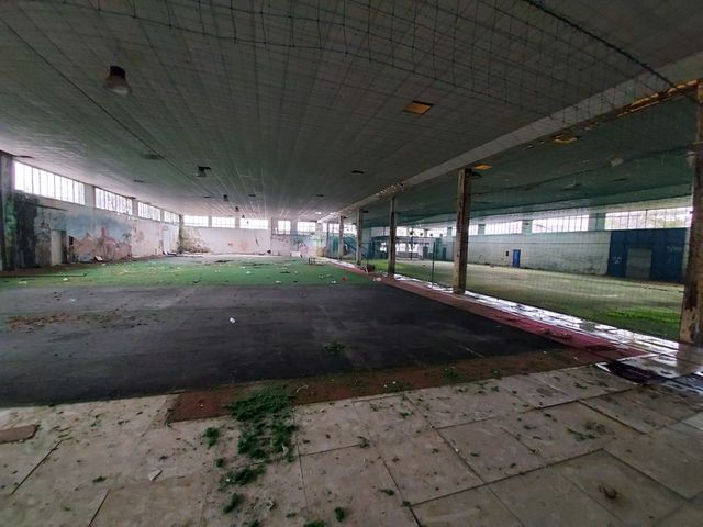 Palestre in vendita