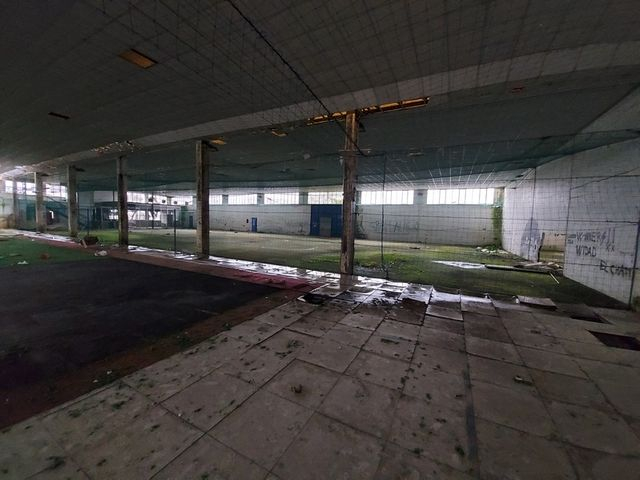 Palestre in vendita