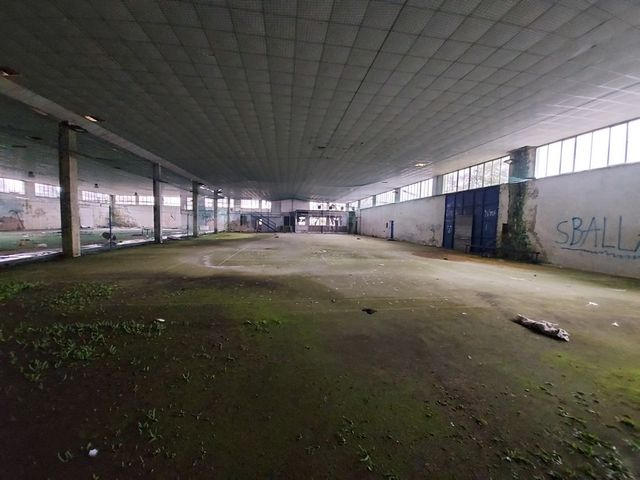 Palestre in vendita