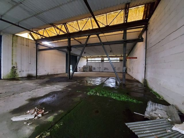 Palestre in vendita