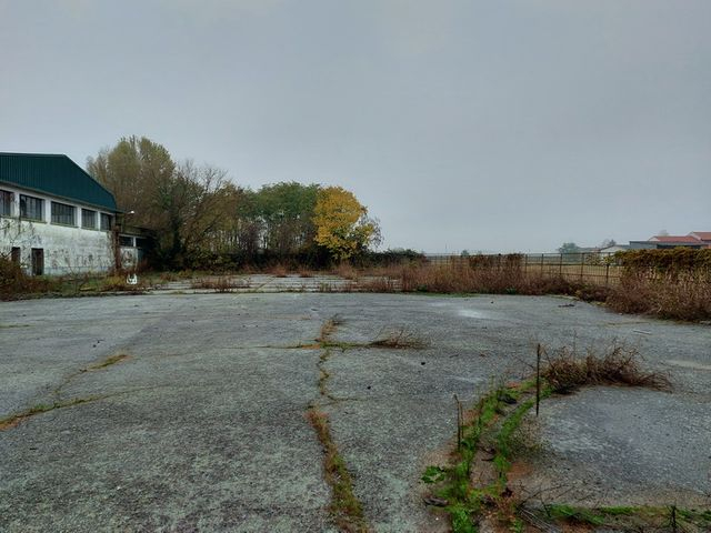 Palestre in vendita