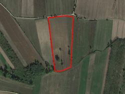 Terreno agricolo di 32.270 mq - Lotto 11685 (Asta 11685)
