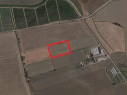 Agricultural land of , square meters - Lot 11741 (Auction 11741)