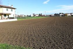 Terreno agricolo (ex area edificabile residenziale) - Lotto 11898 (Asta 11898)