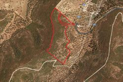 Agricultural land of about . square meters - Lot 12015 (Auction 12015)