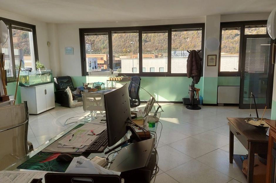 #12201 Capannone con blocco uffici e carri ponte in vendita - foto 8