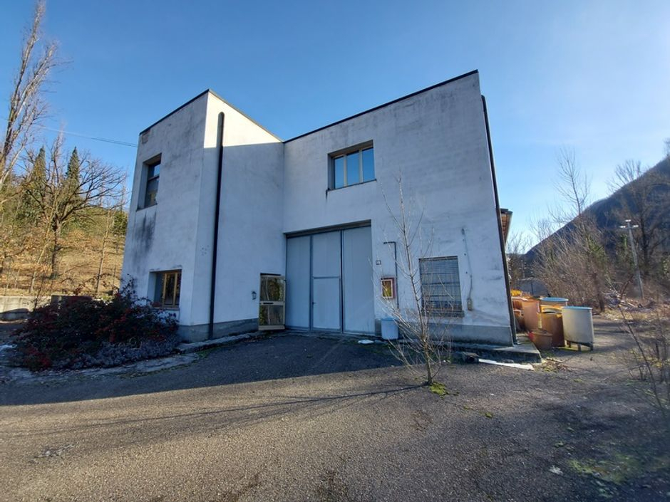 #12224 Capannone con palazzina uffici, corte e terreni di pertinenza in vendita - foto 3