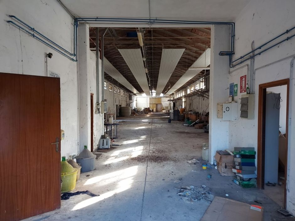 #12224 Capannone con palazzina uffici, corte e terreni di pertinenza in vendita - foto 11