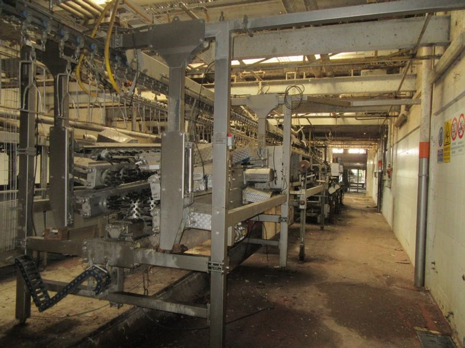 #12351 Due Complessi industriali con terreni in vendita - foto 11