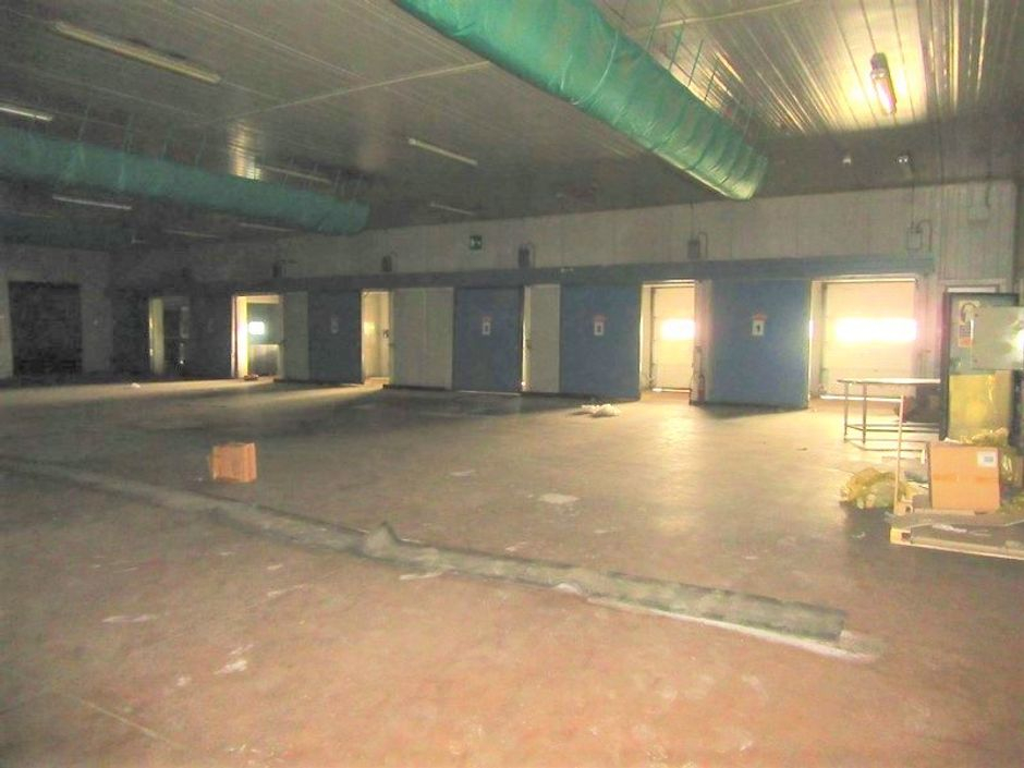 #12351 Due Complessi industriali con terreni in vendita - foto 20