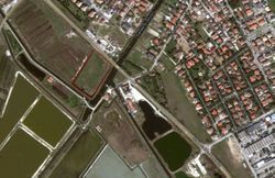 Plot of agricultural land - Lote 127 (Subasta 127)