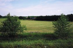 Agricultural arable land sup mq - Lot 12731 (Auction 12731)