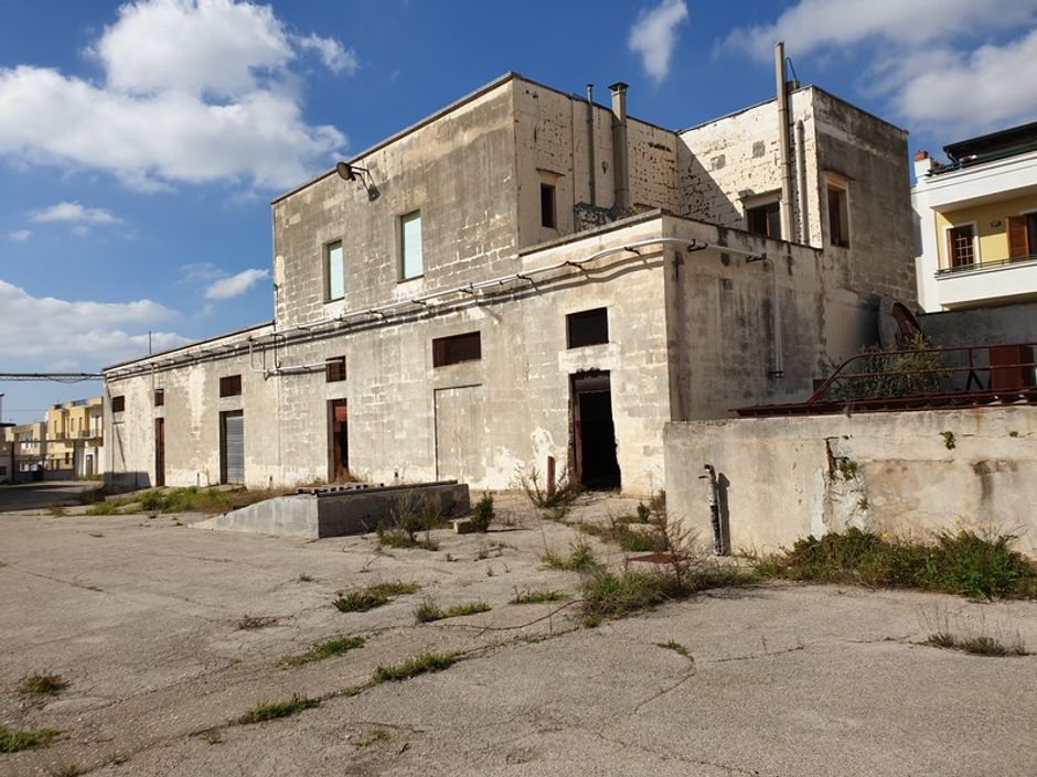 #12785 Complesso aziendale destinato ad enopolio ed oleificio con pertinenze in vendita - foto 4