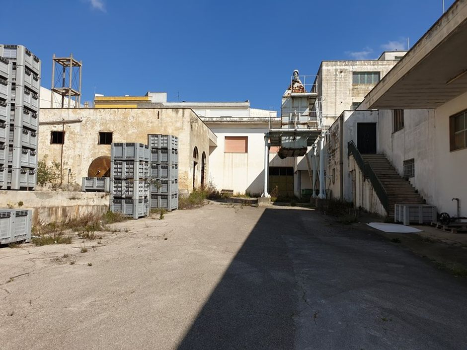 #12785 Complesso aziendale destinato ad enopolio ed oleificio con pertinenze in vendita - foto 5