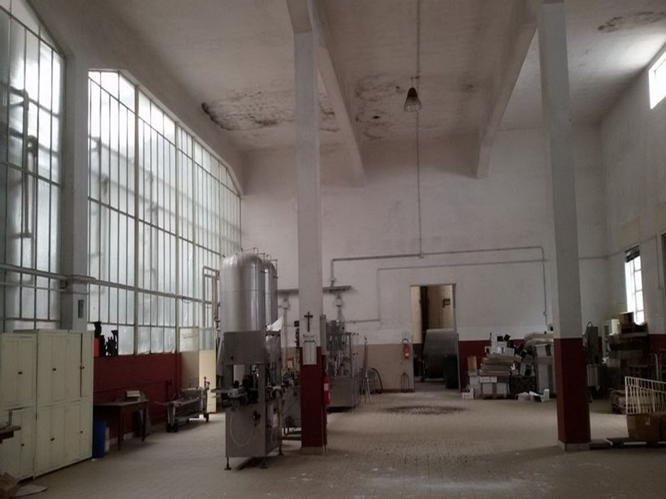 #12785 Complesso aziendale destinato ad enopolio ed oleificio con pertinenze in vendita - foto 8