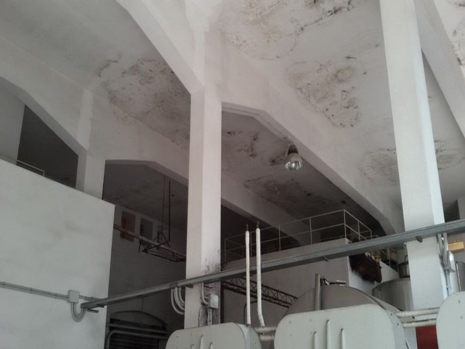 #12785 Complesso aziendale destinato ad enopolio ed oleificio con pertinenze in vendita - foto 9