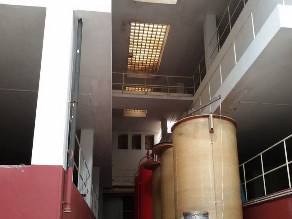#12785 Complesso aziendale destinato ad enopolio ed oleificio con pertinenze in vendita - foto 10