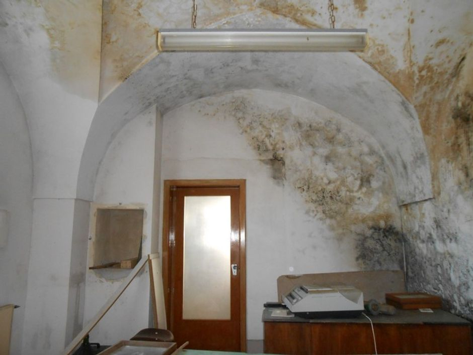 #12785 Complesso aziendale destinato ad enopolio ed oleificio con pertinenze in vendita - foto 14