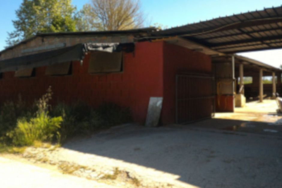 #12934 Complesso agricolo in vendita - foto 5