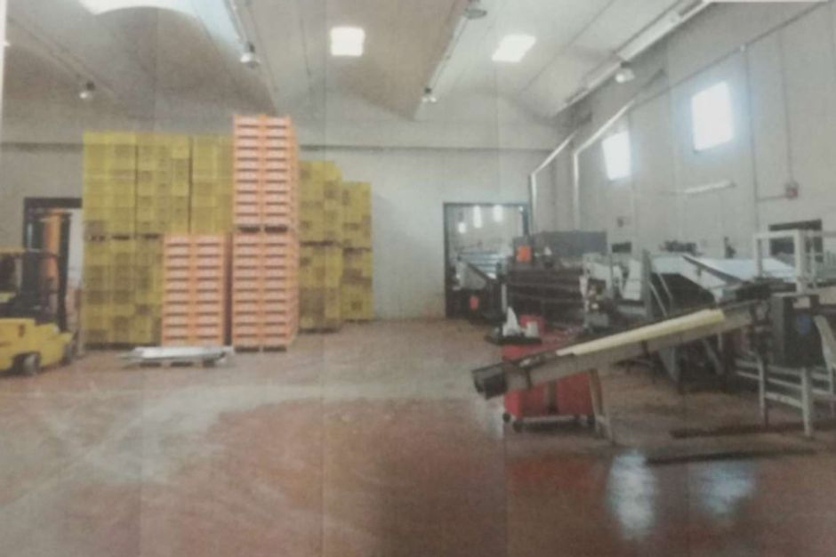 #12937 Capannone industriale con uffici e abitazione in vendita - foto 2