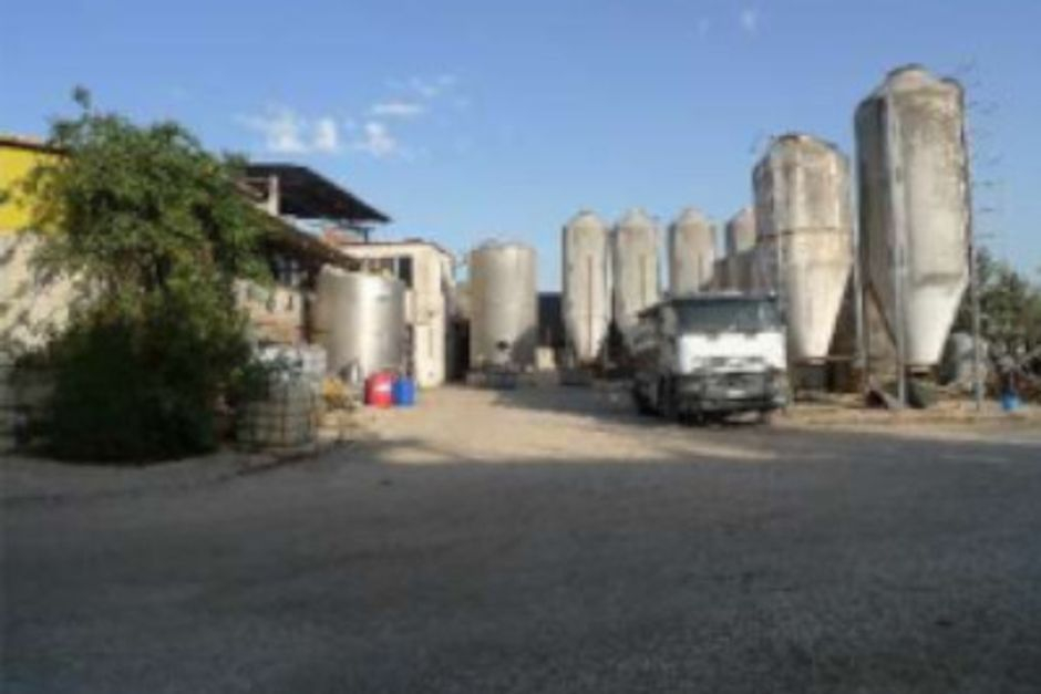 #12955 Azienda agricola con terreni in vendita - foto 3