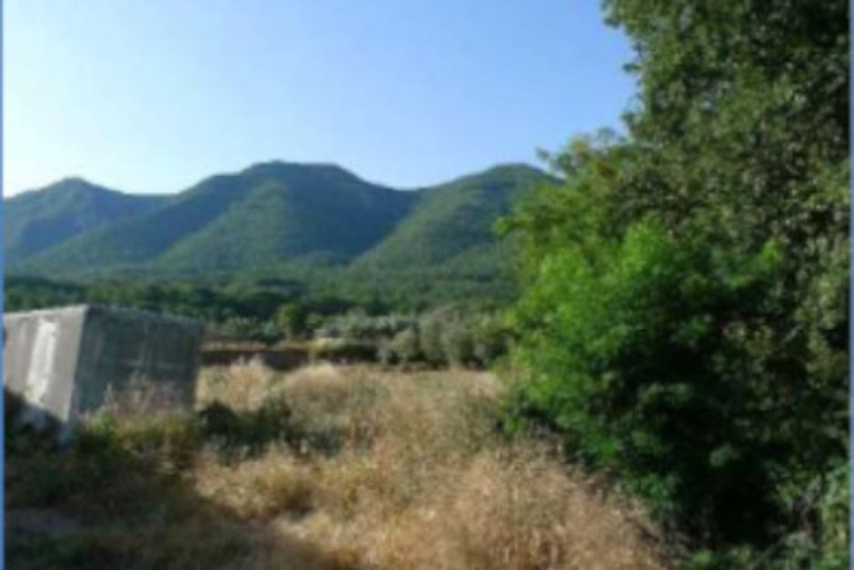 #12955 Azienda agricola con terreni in vendita - foto 5
